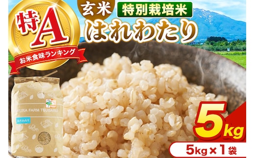 米【特別栽培米】はれわたり 玄米 5kg（5kg×1袋）令和7年産 特A 青森県弘前市産 [5キロ はれわたり 特別栽培米 玄米 ブランド米 青森県 弘前市産]