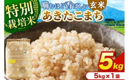 米【特別栽培米】あきたこまち 玄米 5kg（5kg×1袋）令和7年産 青森県弘前市産 [5キロ あきたこまち 特別栽培米 玄米 ブランド米 青森県 弘前市産]