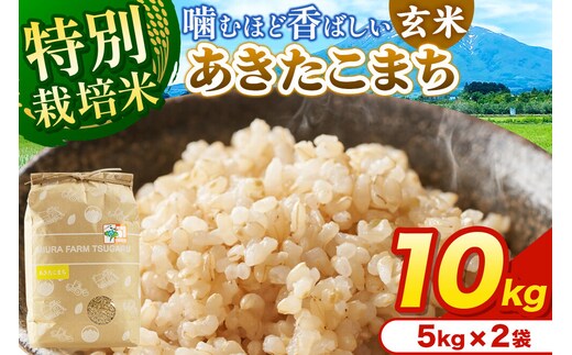 米【特別栽培米】あきたこまち 玄米 10kg（5kg×2袋）令和7年産 青森県弘前市産 [10キロ 5キロ 小分け あきたこまち 特別栽培米 玄米 ブランド米 青森県 弘前市産]
