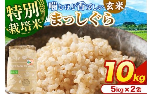 米【特別栽培米】まっしぐら 玄米 10kg（5kg×2袋）令和7年産 青森県弘前市産 [10キロ 5キロ 小分け まっしぐら 特別栽培米 玄米 ブランド米 青森県 弘前市産]