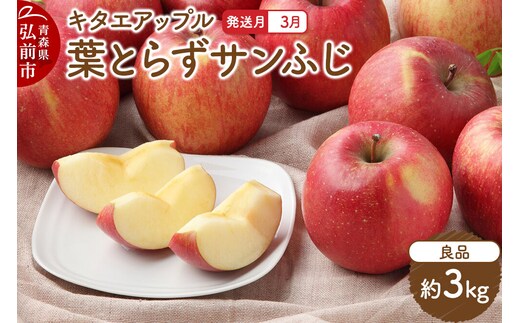 【27年3月クール便発送】りんご 葉取らず サンふじ【良品】約3kg キタエアップル 先行受付 青森県 弘前市 果物 フルーツ 林檎 リンゴ くだもの ギフト 贈り物 [先行予約 クール便 産地直送 アップル おいしい 果実 美味 甘い 赤色]