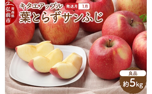 【27年1月発送】りんご 葉取らず サンふじ【良品】約5kg キタエアップル 先行受付 青森県 弘前市 果物 フルーツ 林檎 リンゴ くだもの ギフト 贈り物 [先行予約 産地直送 アップル おいしい 果実 美味 甘い 赤色]