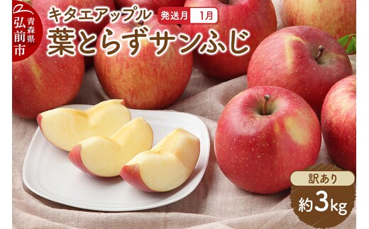 【27年1月発送】りんご 葉取らず サンふじ【訳あり】約3kg キタエアップル 先行受付 家庭用 青森県 弘前市 果物 フルーツ 林檎 リンゴ くだもの 不揃い 規格外 [先行予約 産地直送 アップル おいしい 果実 美味 甘い 赤色]