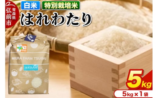 【寄附金額見直しました】米【特別栽培米】はれわたり 白米 5kg 青森県弘前市産