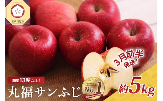 【2026年3月前半発送】 りんご 青森産 約5kg 丸福 サンふじ 光センサー 選果 糖度 13度以上