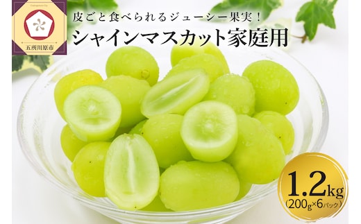 【2026年12月上旬発送】 青森産シャインマスカット 「家庭用カップ入り」 約1.2kg (200g×6カップ) 