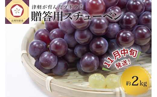 【2026年11月中旬発送】 青森ぶどう 贈答用 スチューベン 約2kg 化粧箱入