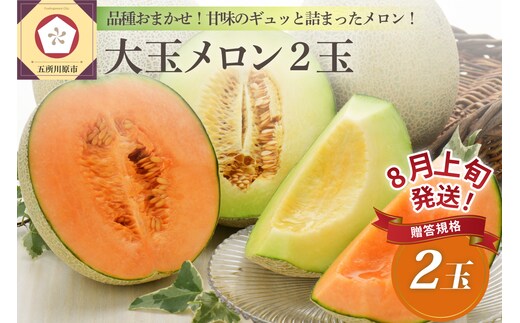 【2026年8月上旬発送】青森県津軽産 メロン 大玉 2個 品種おまかせ ≪贈答規格≫【青森メロン】