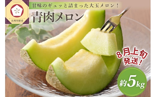 【2026年8月上旬発送】津軽産青肉メロンご家庭用約5kg3～6玉【青森メロン】