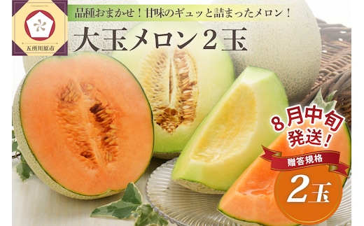 【2026年8月中旬発送】青森県津軽産 メロン 大玉 2個 品種おまかせ ≪贈答規格≫【青森メロン】