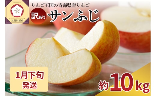 【2026年1月下旬発送】 【訳あり】 りんご 約10kg サンふじ 青森産