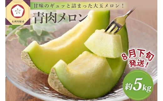 【2026年8月下旬発送】津軽産青肉メロンご家庭用約5kg3～6玉【青森メロン】
