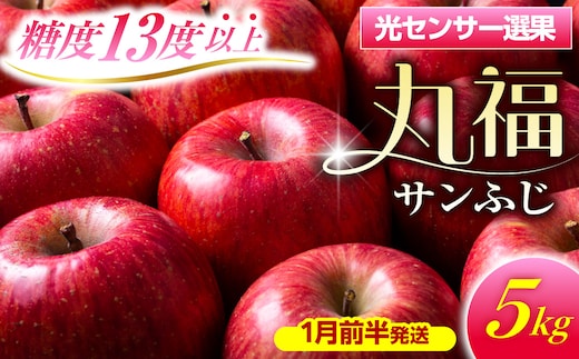 【2027年1月前半発送】 りんご 青森産 約5kg 丸福 サンふじ 光センサー 選果 糖度 13度以上