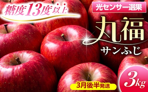 【2027年3月後半発送】 りんご 青森産 約3kg 丸福 サンふじ 光センサー 選果 糖度 13度以上