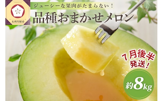 【2026年7月後半発送】青森のメロン 約8kg 青肉 4～6玉 秀～優