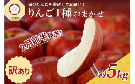 【2026年2月前半発送】 【訳あり】 りんご 青森産 約5kg 品種おまかせ1種