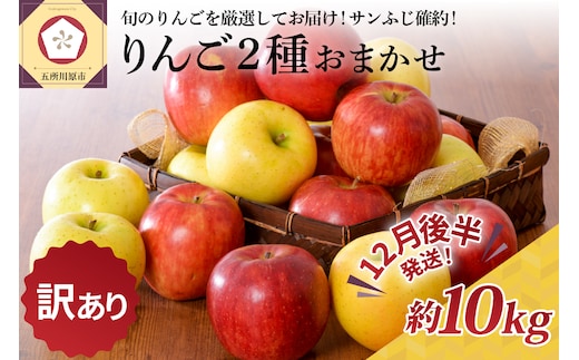 【2026年12月後半発送】 【訳あり】 りんご 約10kg サンふじ確約 青森産 品種おまかせ2種以上