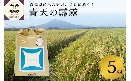 【令和8年産米】【先行受付】 米 青天の霹靂 5kg 特別栽培米 青森県産 【KonRiceFarmの お米 晴天の霹靂 青森 五所川原 】