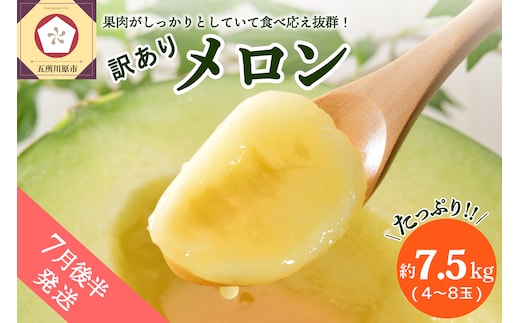 【2026年7月後半発送】【訳あり】メロン約7.5kg青森産緑肉4～8玉