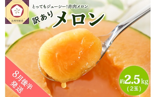 ※2026年8月後半発送※ 【訳あり】 メロン 2.5kg程度 (赤肉2玉) 津軽産