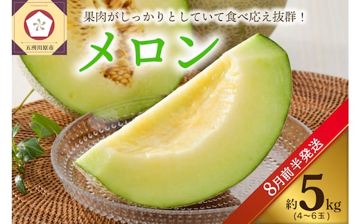 ※2026年8月前半発送※ メロン 5kg程度 (緑肉4～6玉) 津軽産