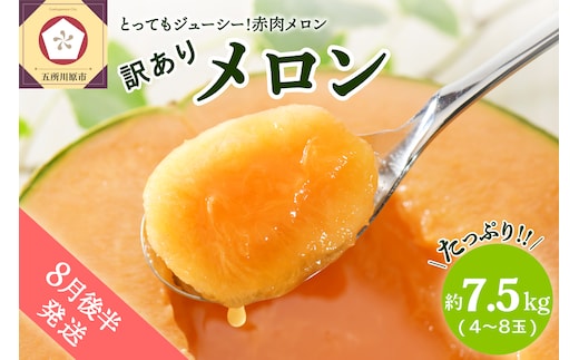 ※2026年8月後半発送※ 【訳あり】 メロン 7.5kg程度 (赤肉4～8玉) 津軽産