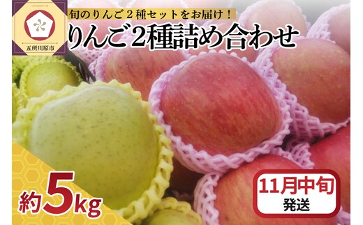 【2026年11月中旬発送】 りんご 5kg サンふじ 王林 他 紅白 詰め合わせ 青森