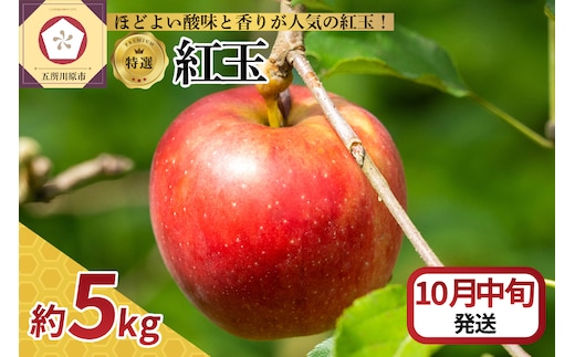 【2026年10月中旬発送】 【特選】りんご 5kg 紅玉 青森