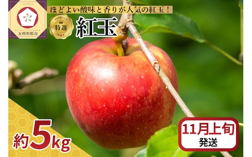 【2026年11月上旬発送】 【特選】りんご 5kg 紅玉 青森