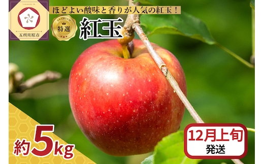 【2026年12月上旬発送】 【特選】りんご 5kg 紅玉 青森