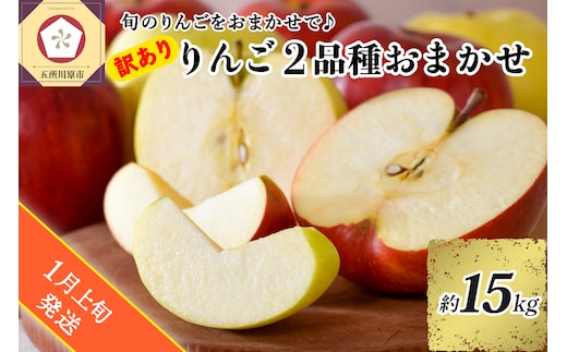 【2026年1月上旬発送】 【訳あり】旬の美味しいりんご 約15kg 青森産 【おまかせ2品種】