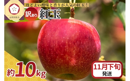 【2026年11月下旬発送】【訳あり】 りんご 10kg 紅玉 アップルパイ に最適 青森 不揃い