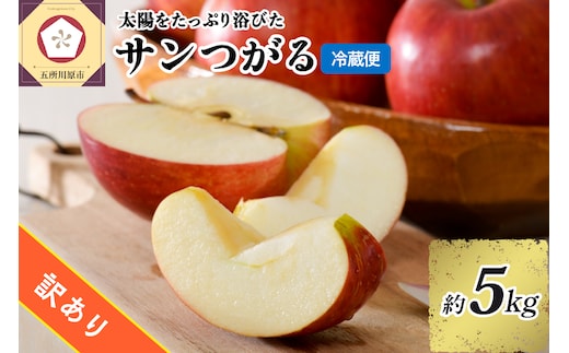 【2026年9月発送】【訳あり】りんごサンつがる約5kg青森産【クール便】