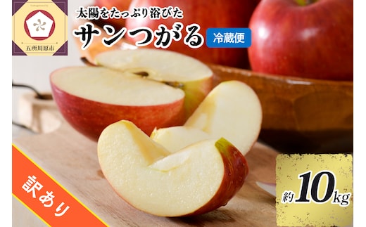 【2026年9月発送】【訳あり】りんごサンつがる約10kg青森産【クール便】