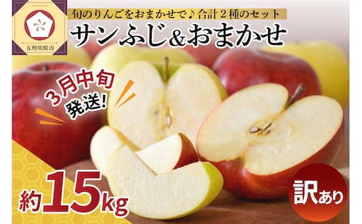 【2026年3月中旬発送】【訳あり】 りんご 15kg 詰め合わせ 計2種(サンふじ と 他1種) 不揃い フルーツ 家庭用