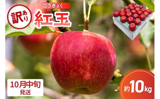 【2026年10月中旬発送】【訳あり】 りんご 10kg 紅玉 アップルパイ に最適 青森 不揃い