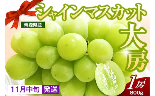 【2026年11月中旬発送】 シャインマスカット 大房 800g 青森産