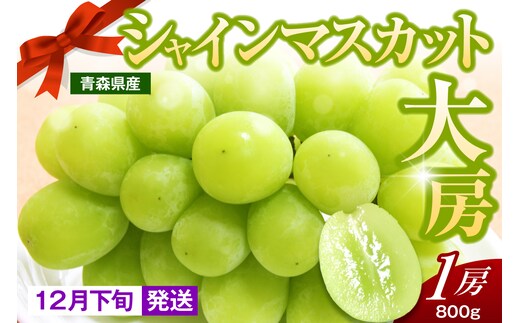 【2026年12月下旬発送】 シャインマスカット 大房 800g 青森産