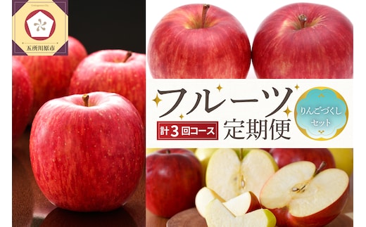 【2026年9月発送開始】 おいしい3種類☆フルーツ定期便【3回】（りんごづくし）りんご 訳ありセット