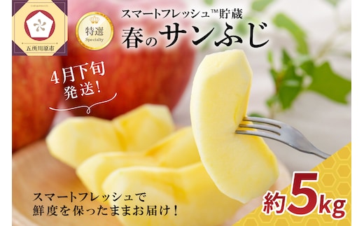 【2026年4月下旬発送】春のサンふじ りんご 約5kg 【特選】 スマートフレッシュTM貯蔵 贈答用 青森県産