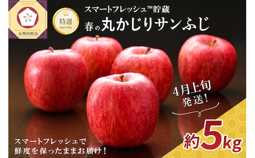 【2026年4月上旬発送】≪特選≫ 春の丸かじりサンふじ りんご 約5kg スマートフレッシュTM貯蔵 贈答用 果物 フルーツ 5キロ 青森県産