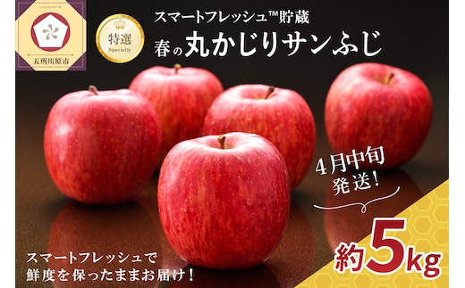 【2026年4月中旬発送】≪特選≫ 春の丸かじりサンふじ りんご 約5kg スマートフレッシュTM貯蔵 贈答用 果物 フルーツ 5キロ 青森県産
