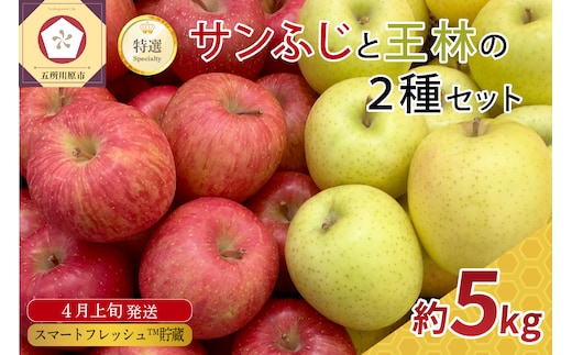 【2026年4月上旬発送】りんご春のサンふじ王林特選5kgスマートフレッシュTM貯蔵