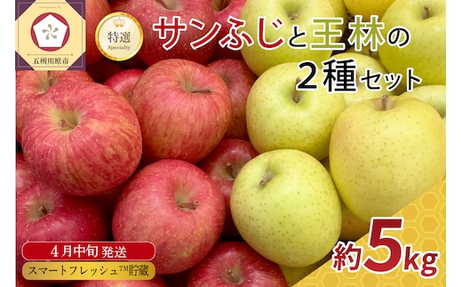 【2026年4月中旬発送】りんご春のサンふじ王林特選5kgスマートフレッシュTM貯蔵