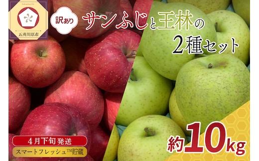 【2026年4月下旬発送】【訳あり】りんご10kg春のサンふじ王林スマートフレッシュTM貯蔵またはCA貯蔵