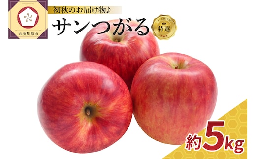 【2026年9月発送】【特選】サンつがる約5kgりんご青森産【クール便】
