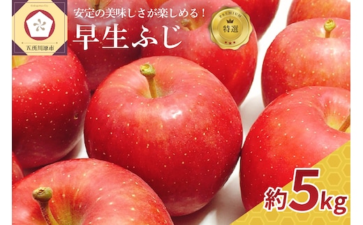 【2026年10月発送】 りんご 約 5kg 早生ふじ 【特選】 青森県産