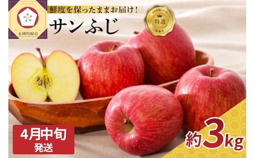 【2026年4月中旬発送】≪特選≫ りんご サンふじ 約3kg 贈答用 （スマートフレッシュTM貯蔵またはCA貯蔵）
