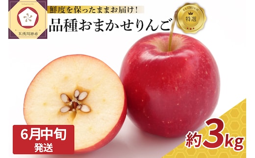 【2026年6月中旬発送】特撰 りんご 約3kg 品種おまかせ （ ふじ 又は サンふじ ） 【発送時期が選べる】 丸かじりサイズ 青森県産 【 スマートフレッシュ 貯蔵 または CA貯蔵 】 特選