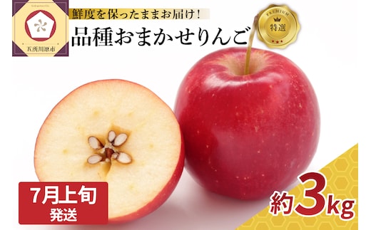 【2026年7月上旬発送】特撰 りんご 約3kg 品種おまかせ （ ふじ 又は サンふじ ） 【発送時期が選べる】 丸かじりサイズ 青森県産 【 スマートフレッシュ 貯蔵 または CA貯蔵 】 特選